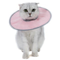 Katt skydds krage mjuk & bekväm