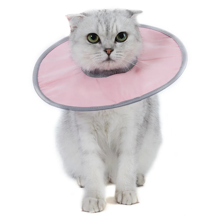 Katt skydds krage mjuk &amp; bekväm