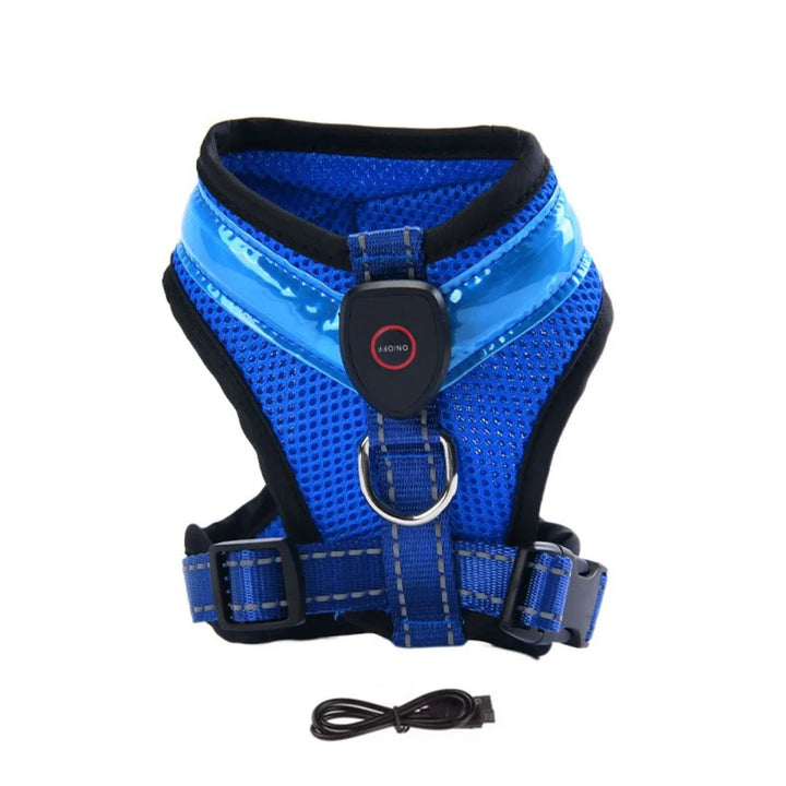 LED Hundsele USB-laddningsbar &amp; justerbar