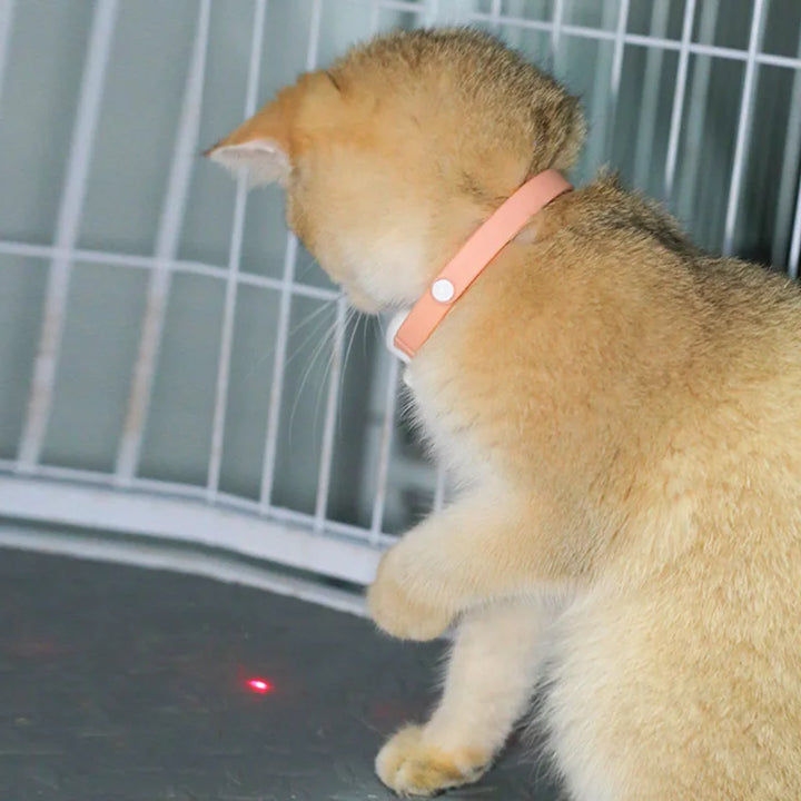 Freesthetic Laserhalsband för Katter