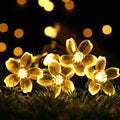 Persikoblomma Fairy Lights