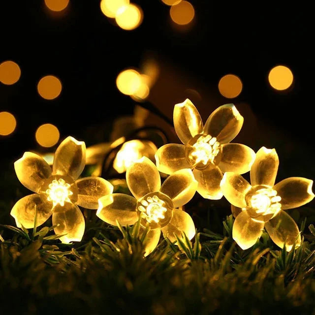 Persikoblomma Fairy Lights