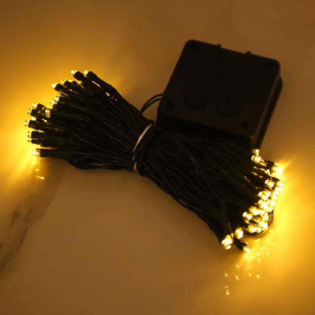 Persikoblomma Fairy Lights