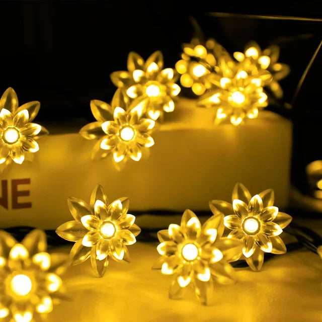 Persikoblomma Fairy Lights