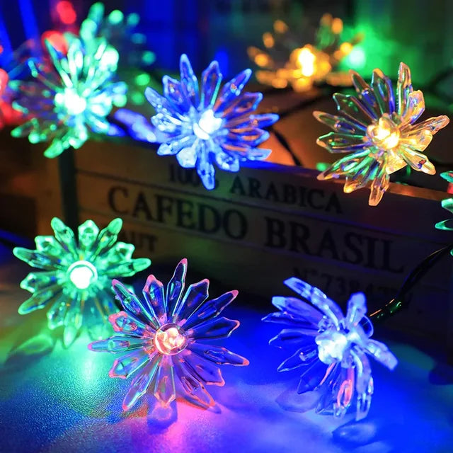 Persikoblomma Fairy Lights