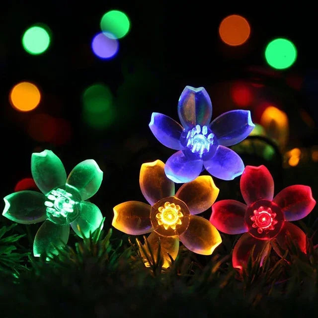 Persikoblomma Fairy Lights
