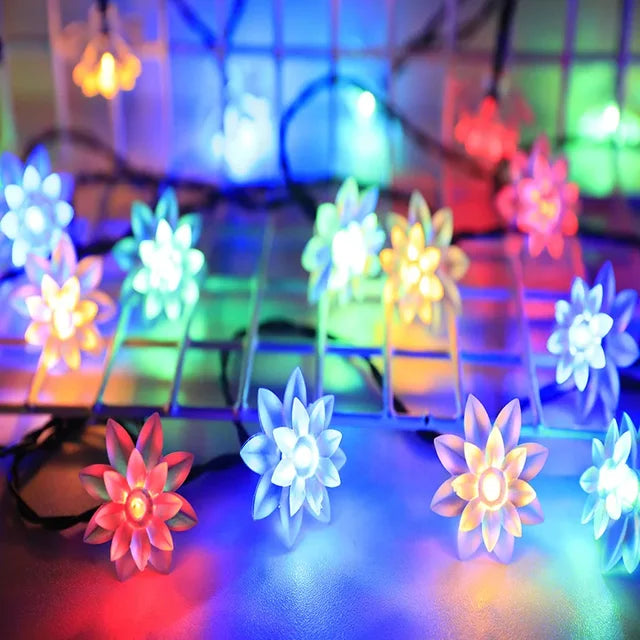Persikoblomma Fairy Lights