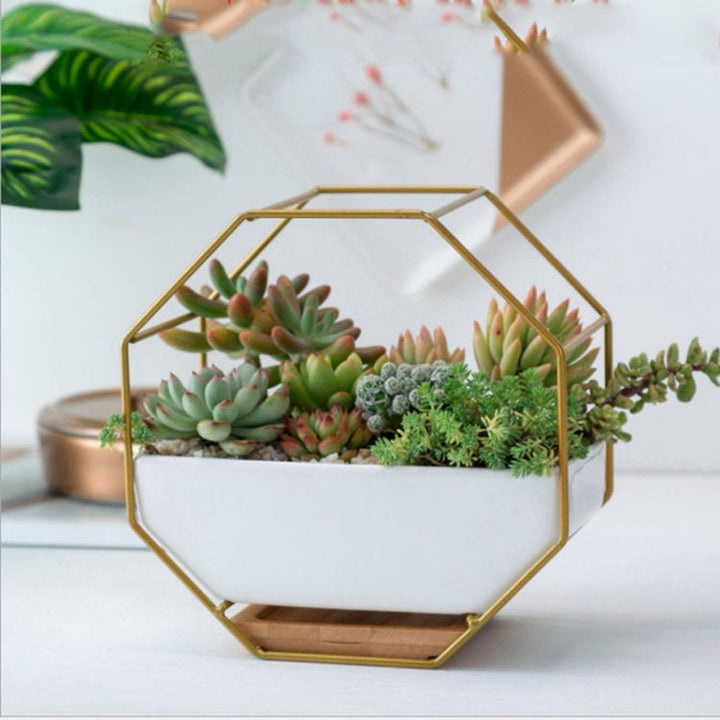 Enkel oktagonal geometrisk väggmonterad bordssucculentplatta med bambustöd och järnram (Guld)
