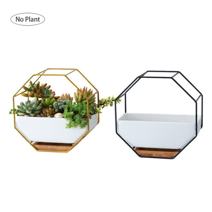 Enkel oktagonal geometrisk väggmonterad bordssucculentplatta med bambustöd och järnram (Guld)