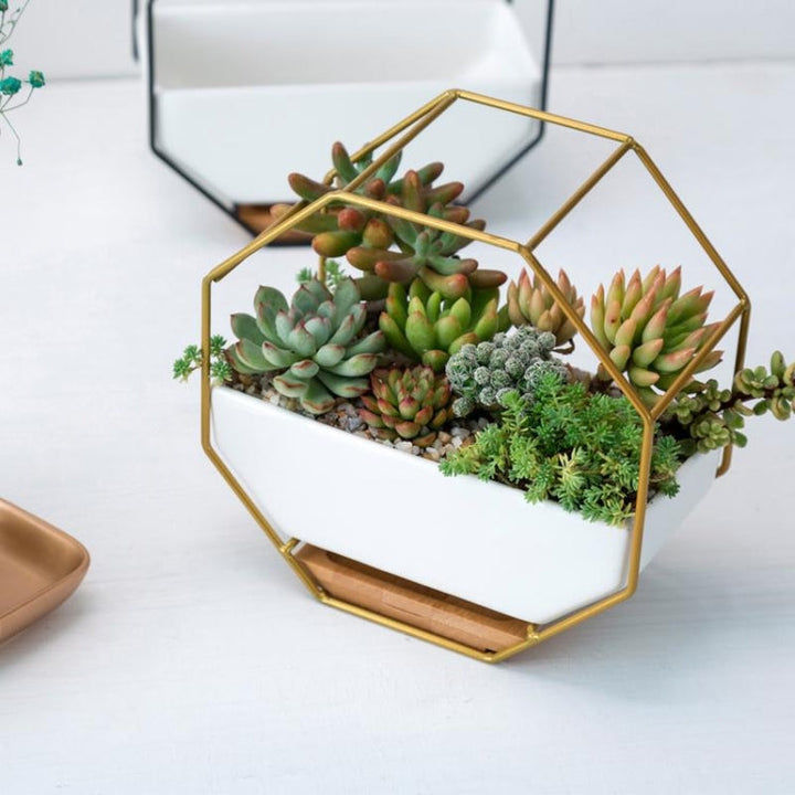 Enkel oktagonal geometrisk väggmonterad bordssucculentplatta med bambustöd och järnram (Guld)