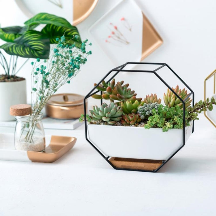 Enkel oktagonal geometrisk väggmonterad bordssucculentplatta med bambustöd och järnram (Guld)