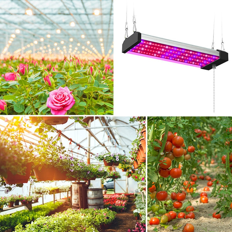 LED växtlampa fullspektrum växtljusrör, Stil: Liten dubbelrad 100 cm (EU-kontakt)