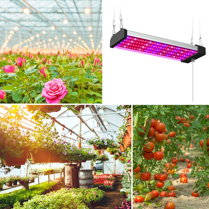 LED växtlampa fullspektrum växtljusrör, Stil: Liten dubbelrad 100 cm (EU-kontakt)