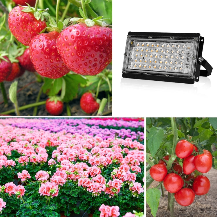 LED Växtbelysning Fullspektrum Vattentät Växtlampa EU Kontakt 144 Klibb 200W