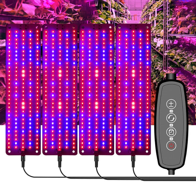 4 huvuden 12V Full Spectrum Röd och Blå Ljuspanel Växtbelysning Fröväxtbelysning (EU-kontakt)