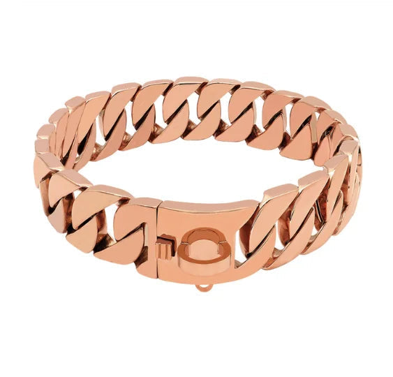 KrachtNeck Metallhundhalsband – Robust halsband i rostfritt stål för stora hundar
