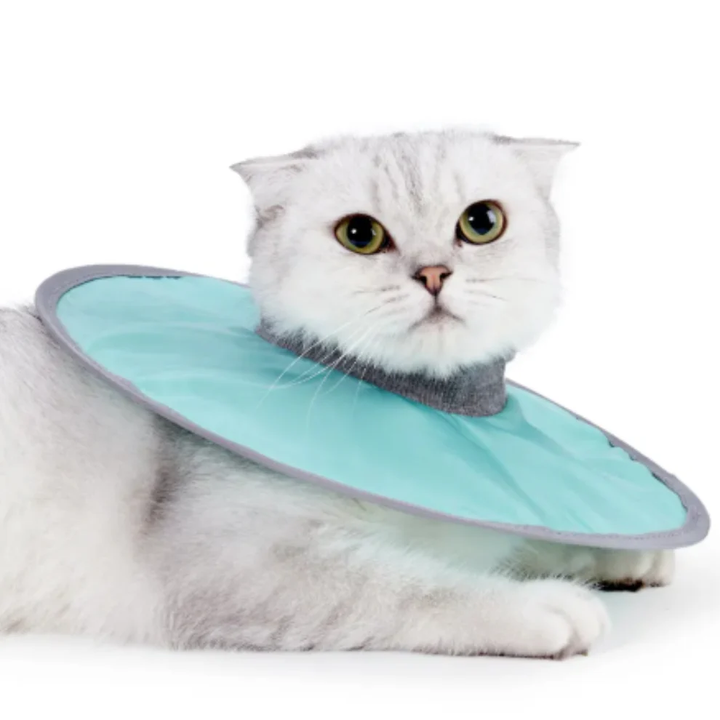 Katt skydds krage mjuk &amp; bekväm