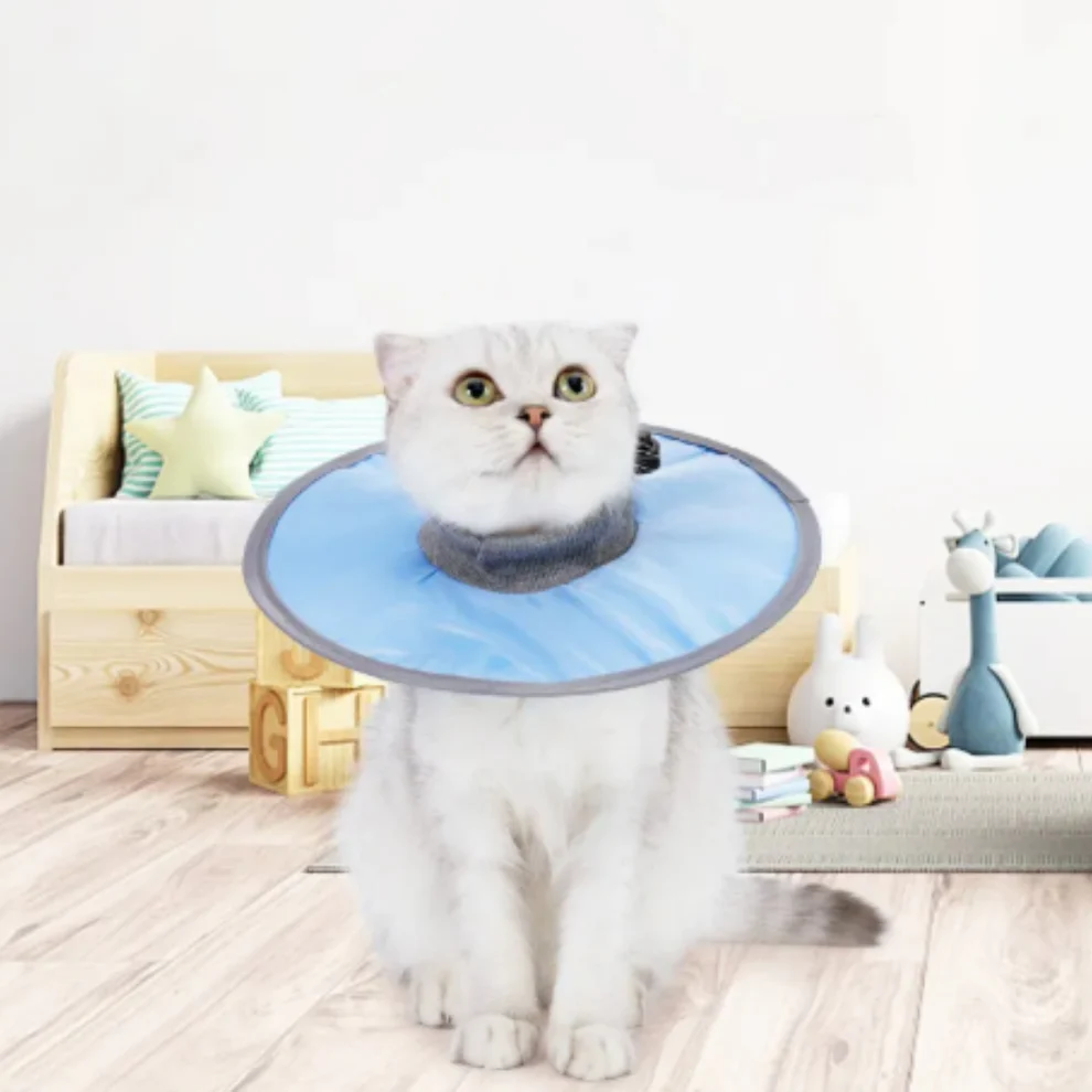 Katt skydds krage mjuk &amp; bekväm