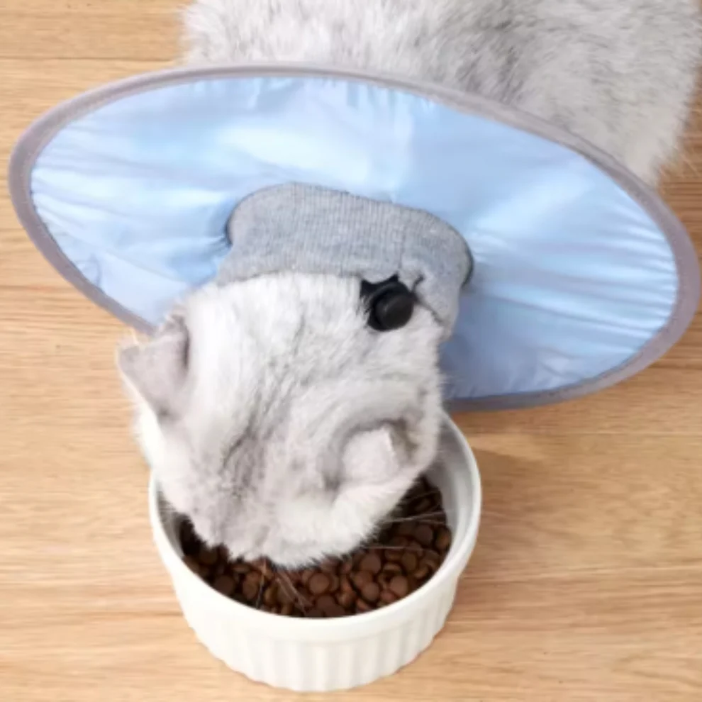 Katt skydds krage mjuk &amp; bekväm