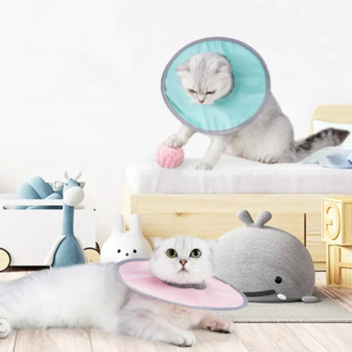 Katt skydds krage mjuk &amp; bekväm