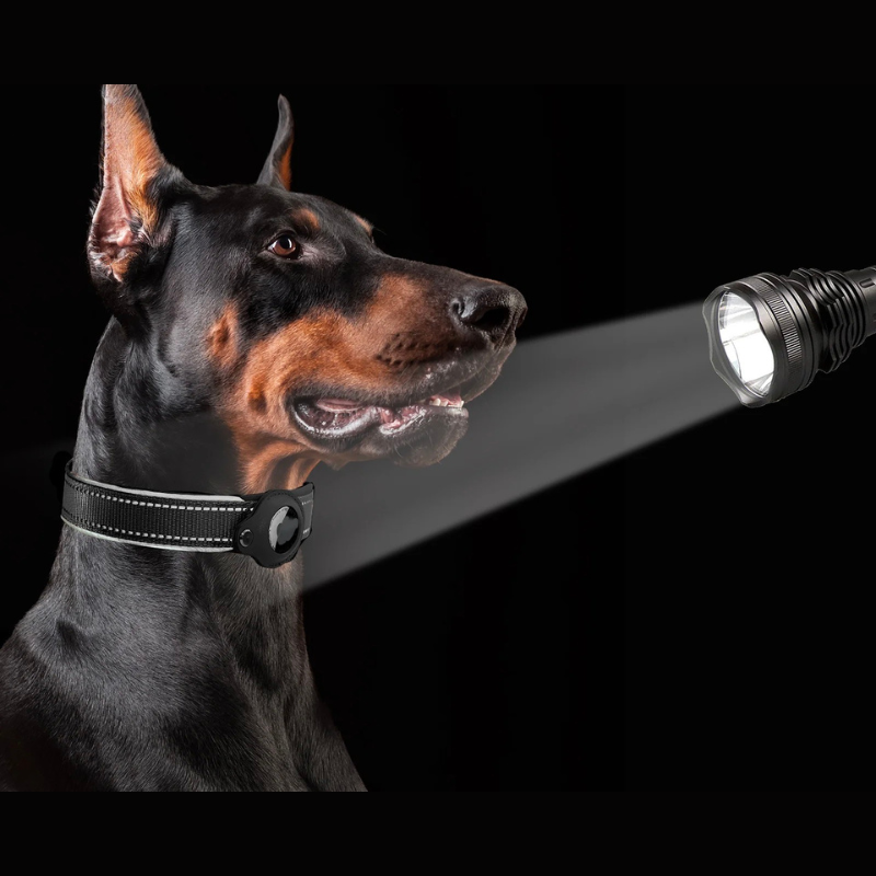 LEAZO - AirTag Hundhalsband