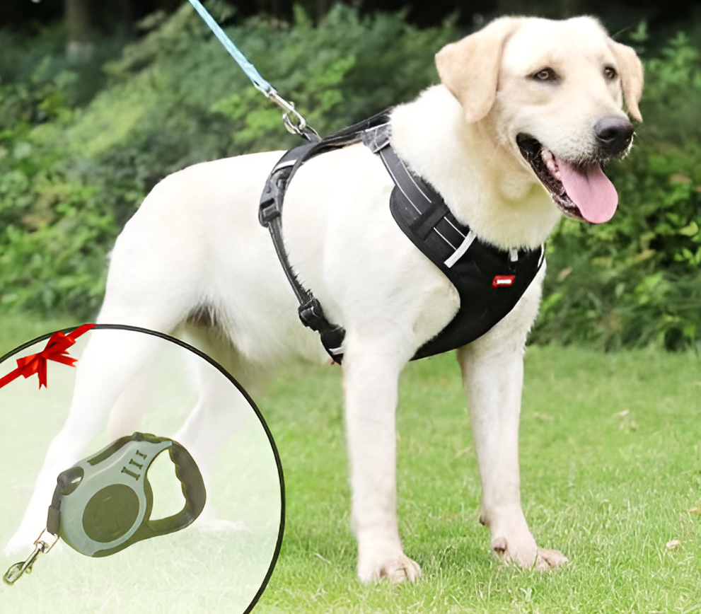 Anti-Trek Hundsele - FlexiFit