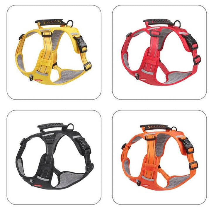 Anti-Trek Hundsele - FlexiFit