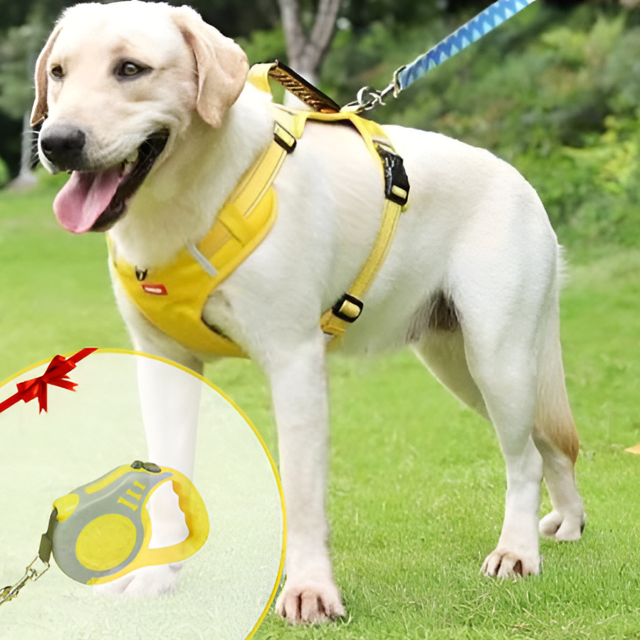 Anti-Trek Hundsele - FlexiFit