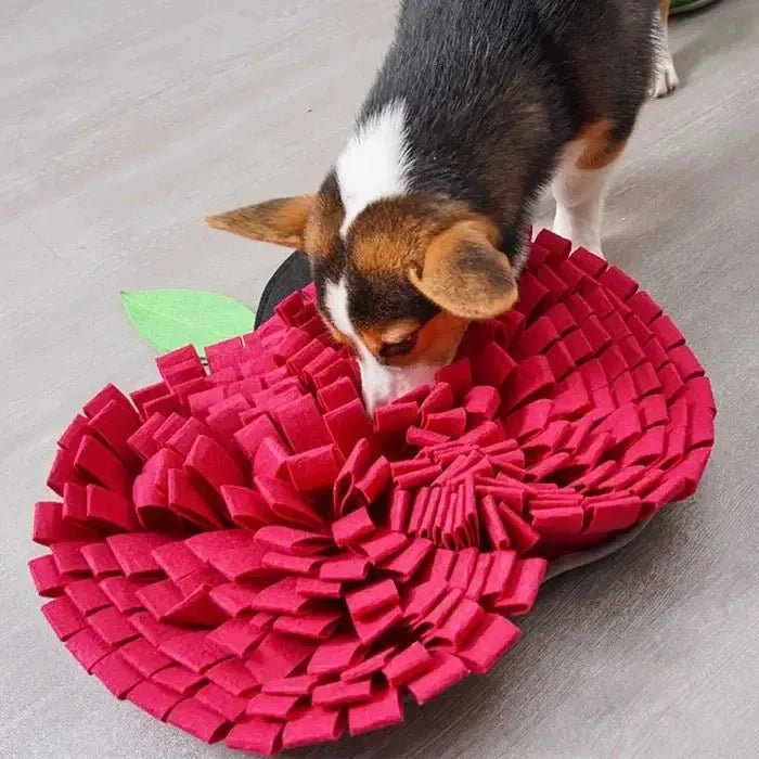 AppleForage • Hund Snuffle Matta
