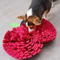 AppleForage • Hund Snuffle Matta