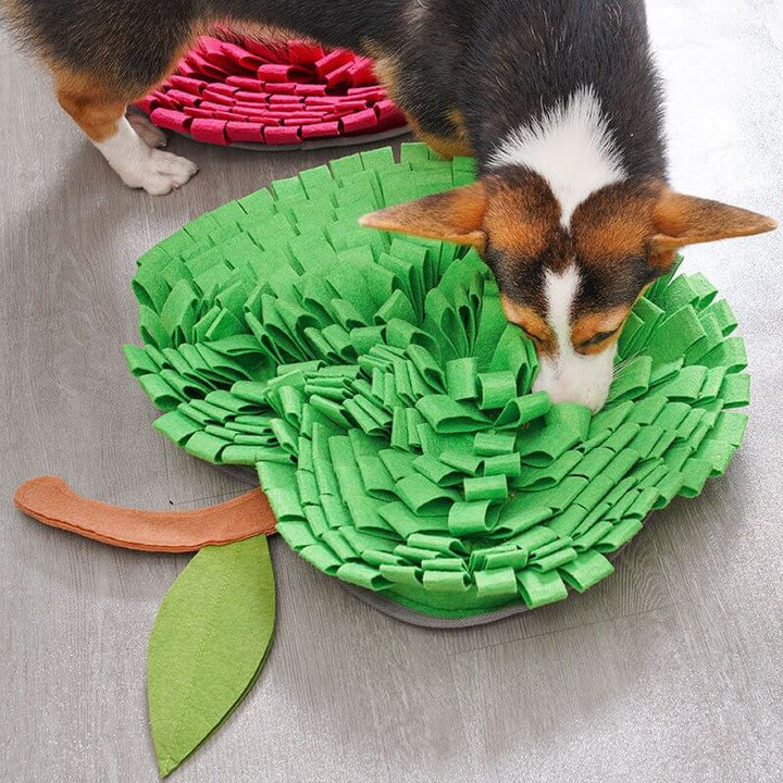 AppleForage • Hund Snuffle Matta