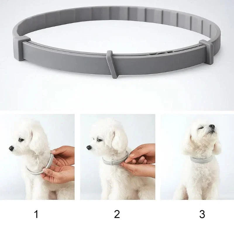 FLASHIELD HALSBAND – Växtbaserat fästing- och loppskyddshalsband för hundar och katter