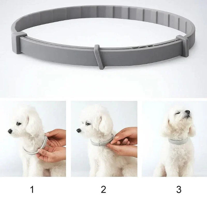 FLASHIELD HALSBAND – Växtbaserat fästing- och loppskyddshalsband för hundar och katter
