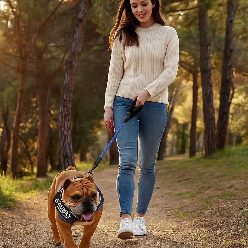 Personlig anpassningsbar hundsele för komfort och säkerhet