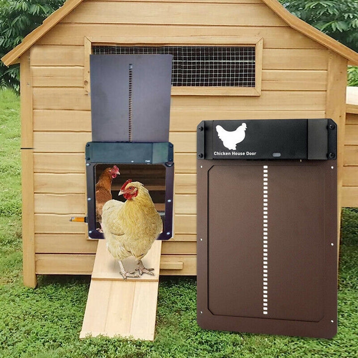 Poultry PRO+ | Automatisk Hönsdörr