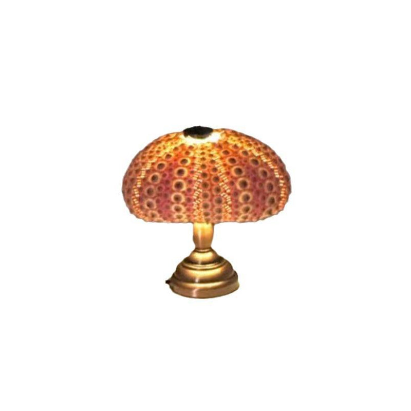 DIY Sjöborre Nattlampa