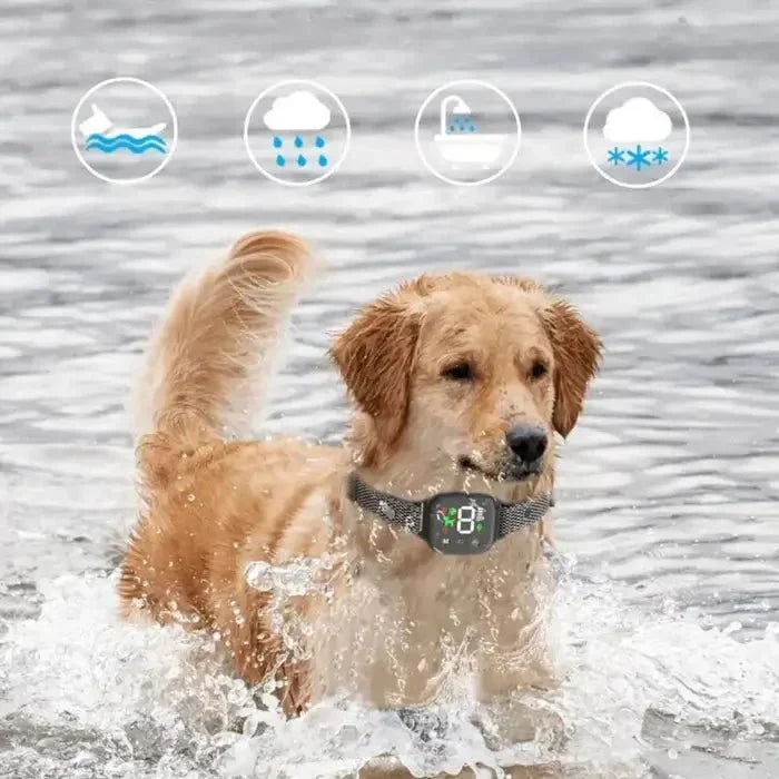BarkPro • Touch Screen Hundskallhalsband