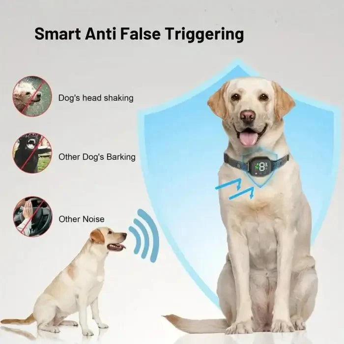 BarkPro • Touch Screen Hundskallhalsband