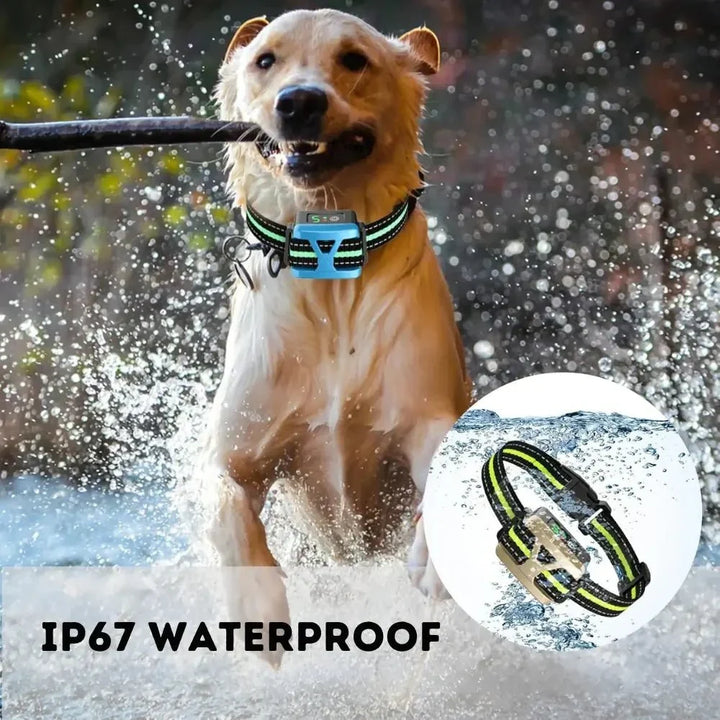 BarkSmart • Uppladdningsbar Anti-Bark Halsband