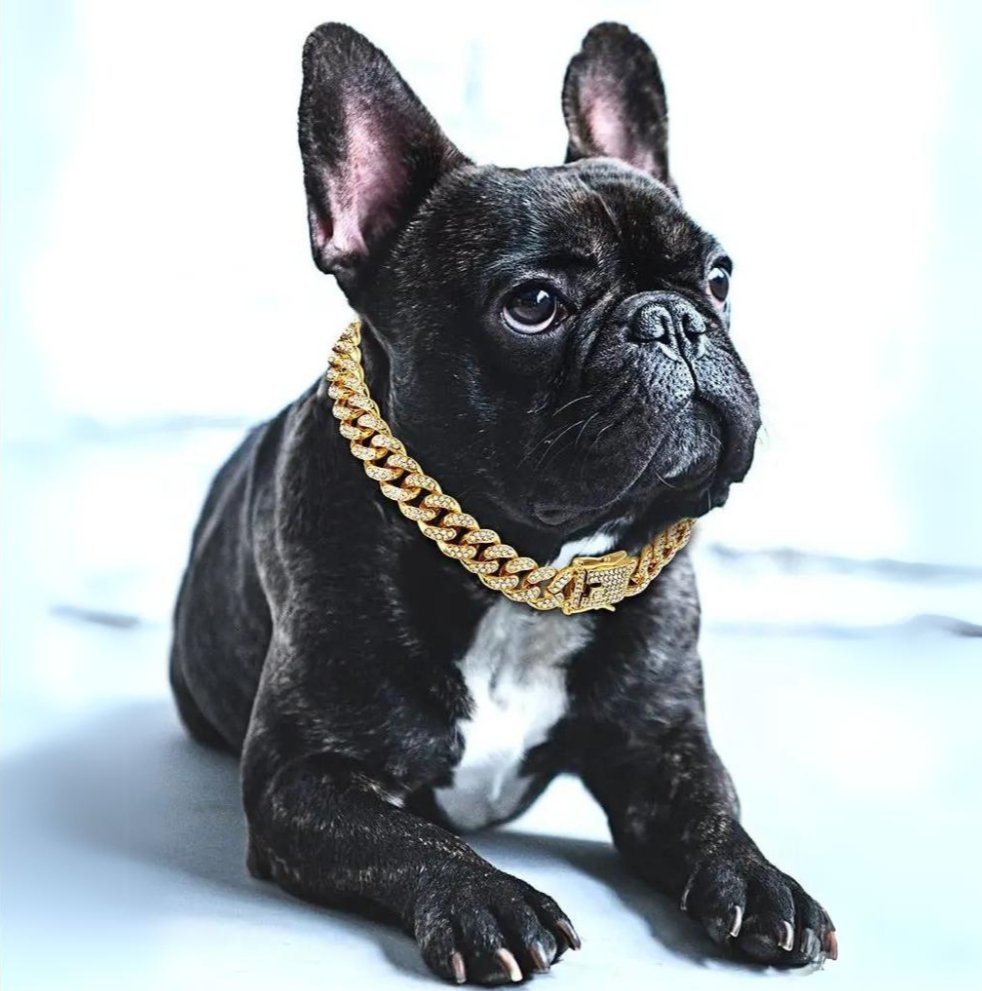 BlingPaws • Hund Guldkedja Halsband
