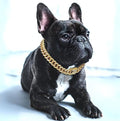 BlingPaws • Hund Guldkedja Halsband