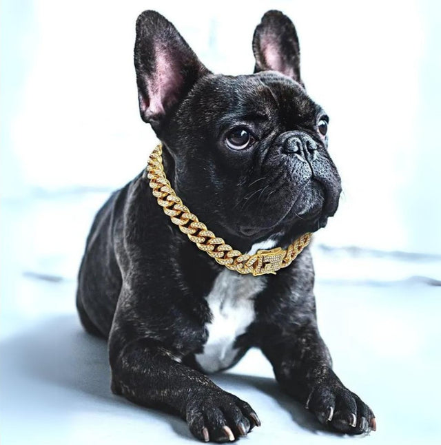 BlingPaws • Hund Guldkedja Halsband