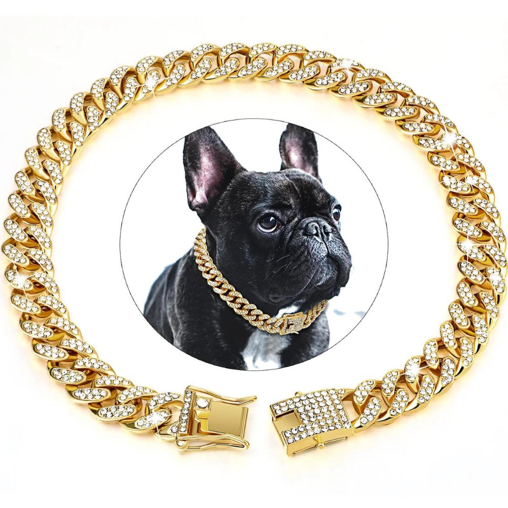 BlingPaws • Hund Guldkedja Halsband