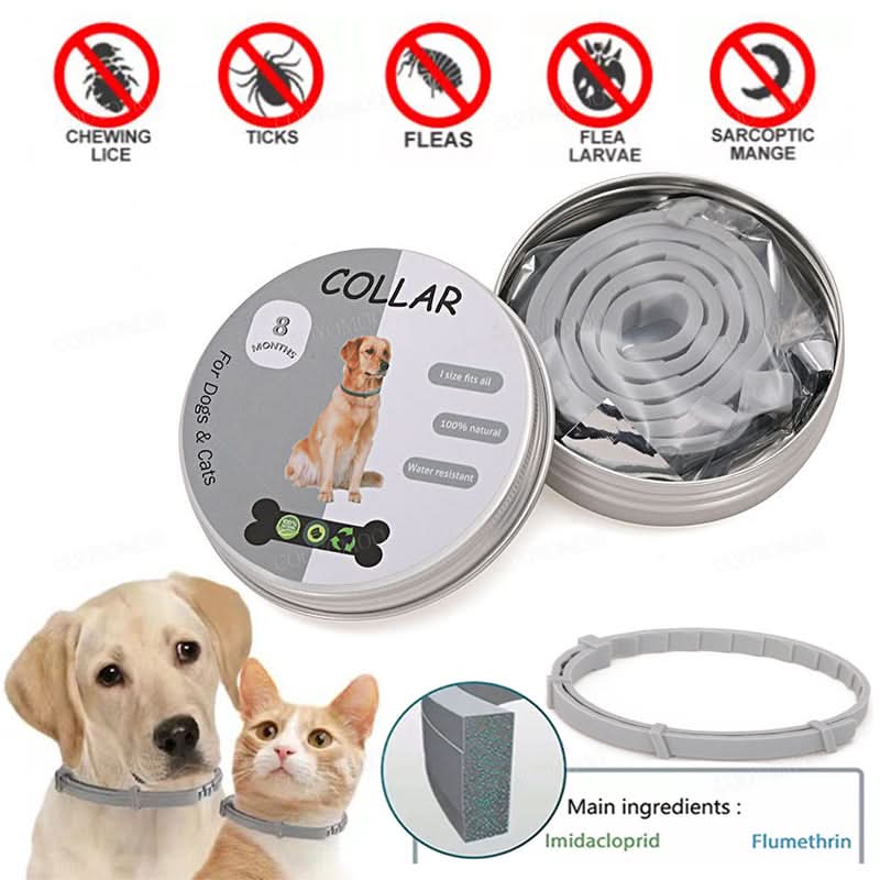 PAWTECT - Anti-fästing och loppa halsband
