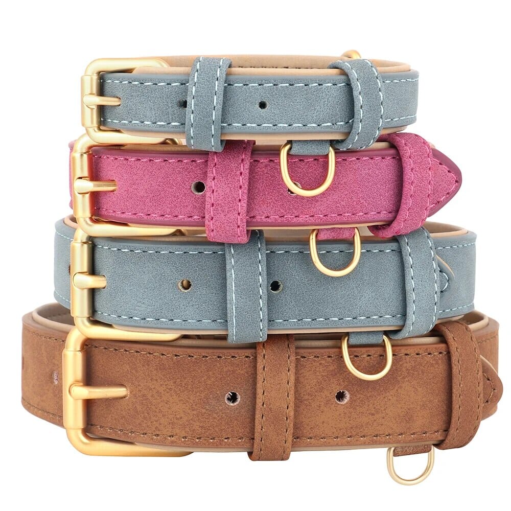 Valp Halsband