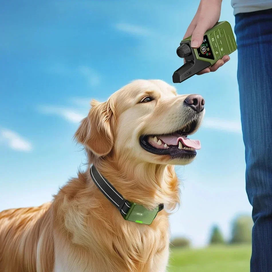 JECO – Professionell Hundträningshalsband | Anti-Bark &amp; Fjärrkontroll