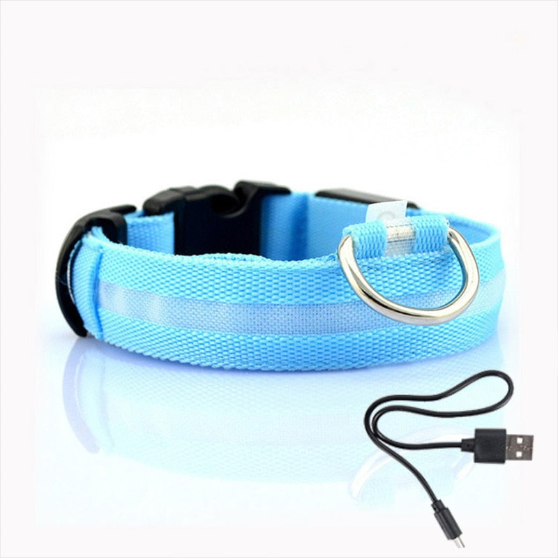 Hundhalsband med LED-belysning - GlowCollar
