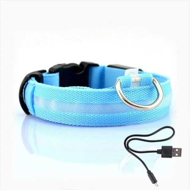 Hundhalsband med LED-belysning - GlowCollar