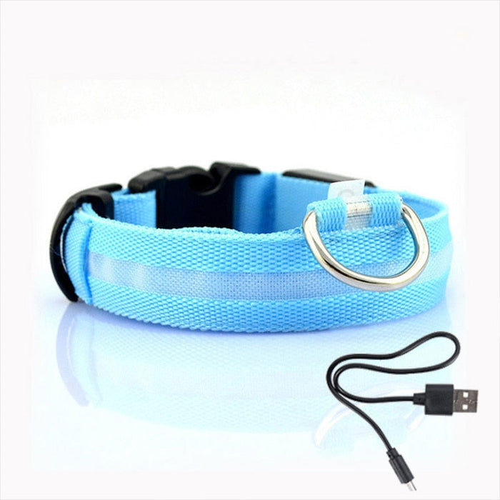 Hundhalsband med LED-belysning - GlowCollar