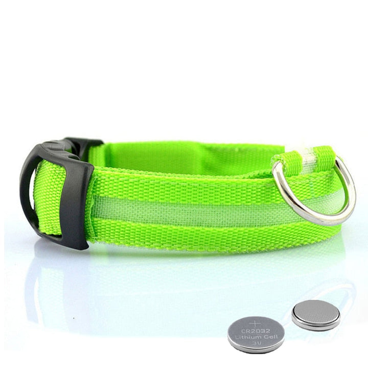 Hundhalsband med LED-belysning - GlowCollar